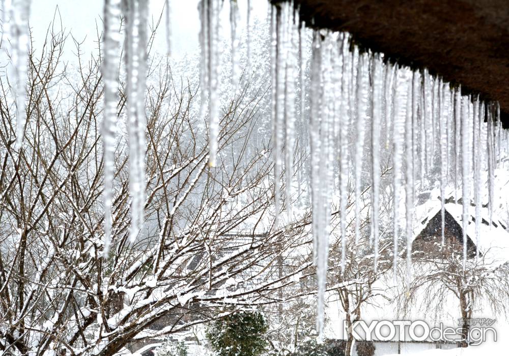 美山雪2015⑭