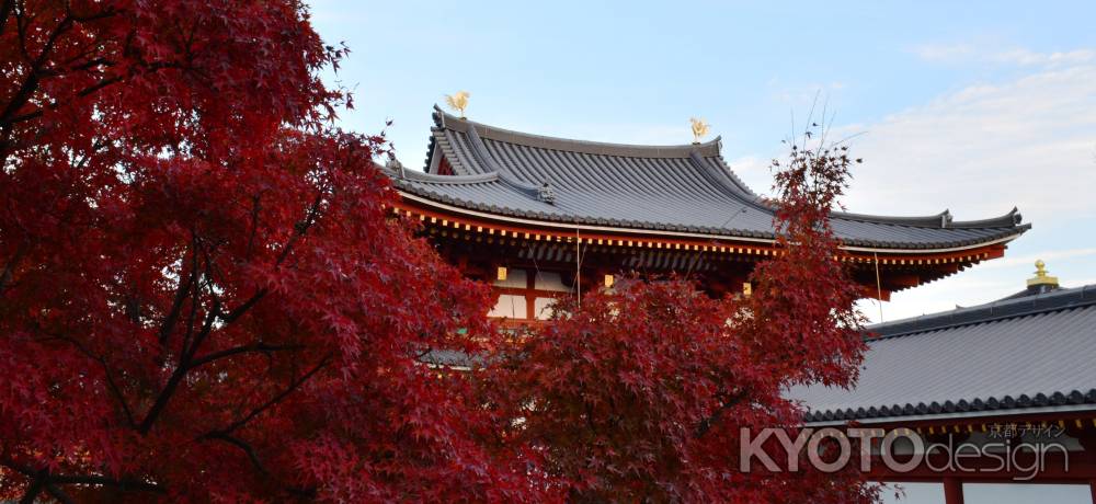 平等院2014秋①