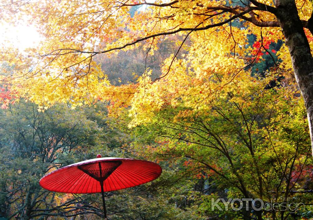 神護寺秋2013①