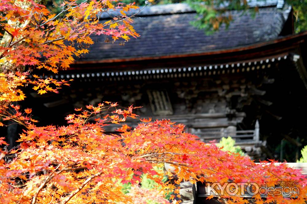 神護寺秋2013⑦