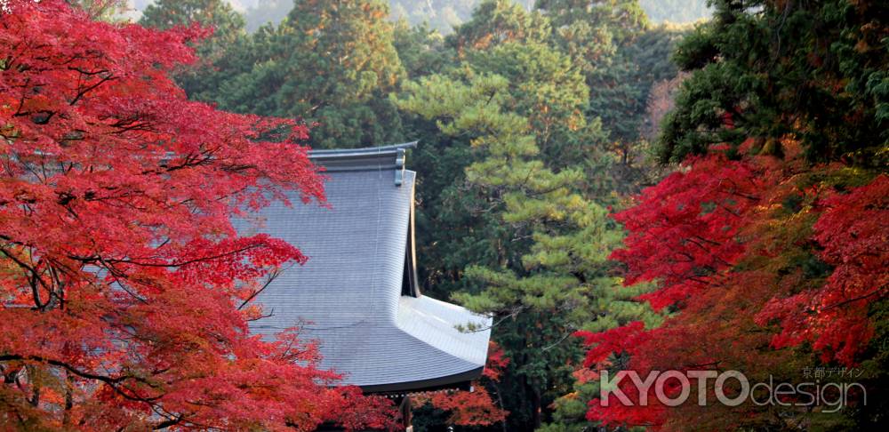 神護寺秋2013⑪