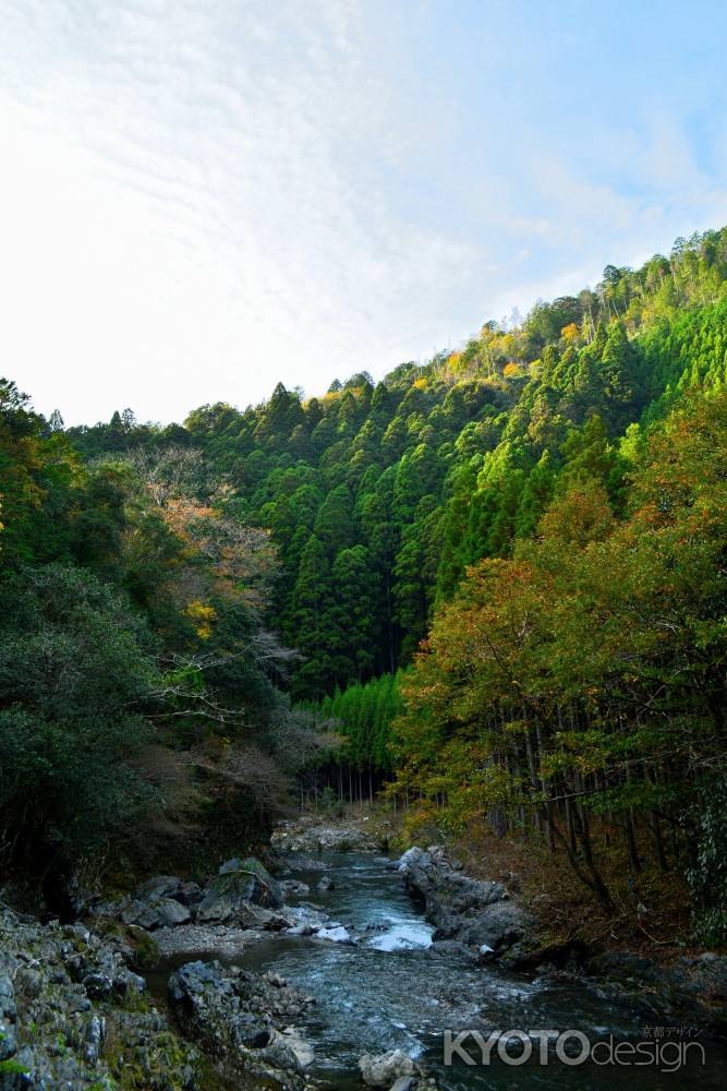 清滝川秋2015①