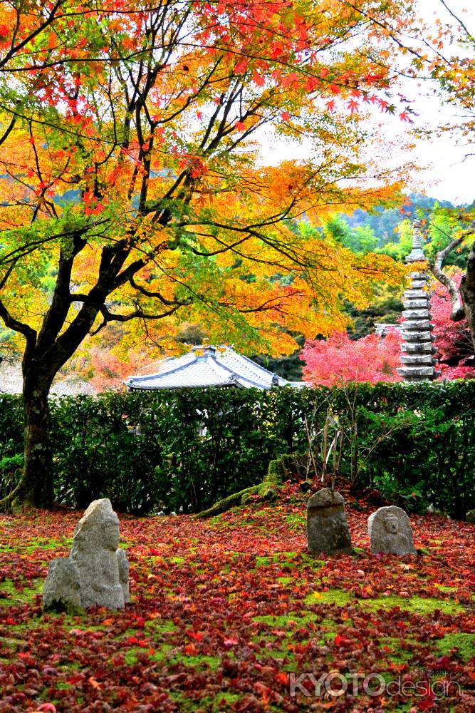 化野念仏寺紅葉2015③