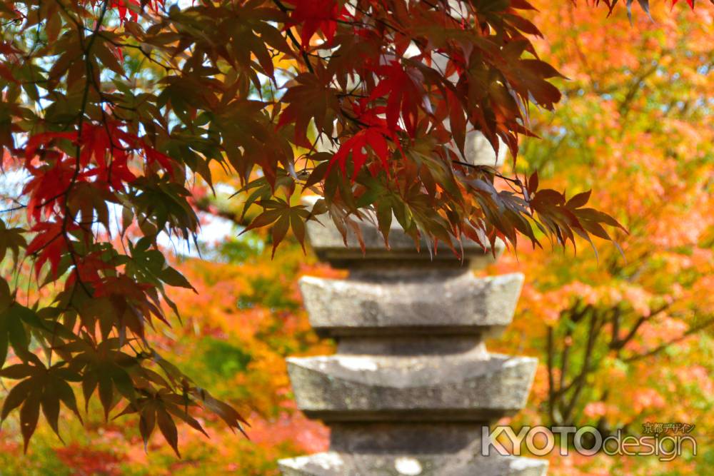 化野念仏寺紅葉2015⑥