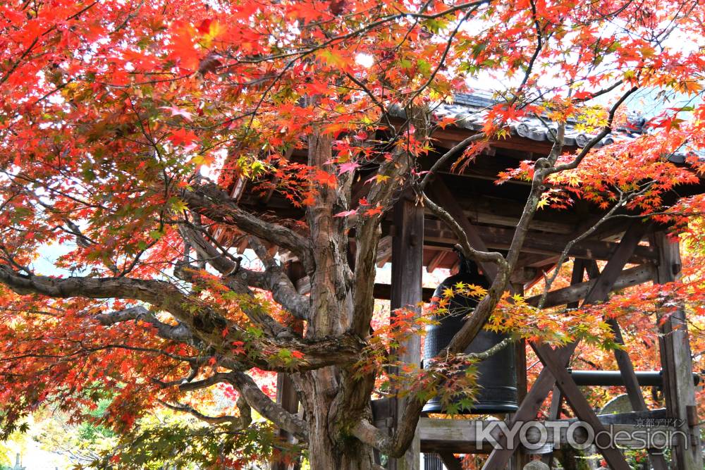 化野念仏寺紅葉2015⑦