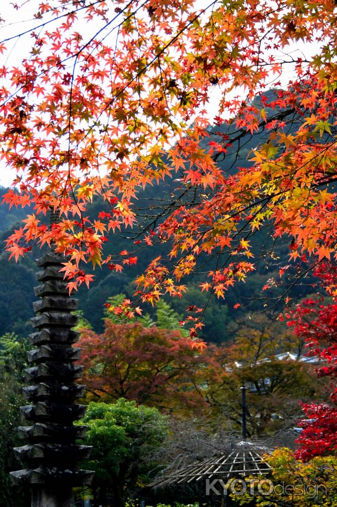 化野念仏寺⑪