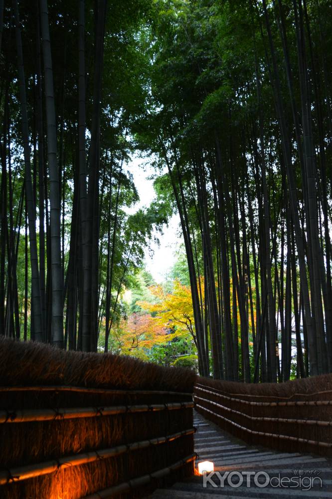 化野念仏寺⑰