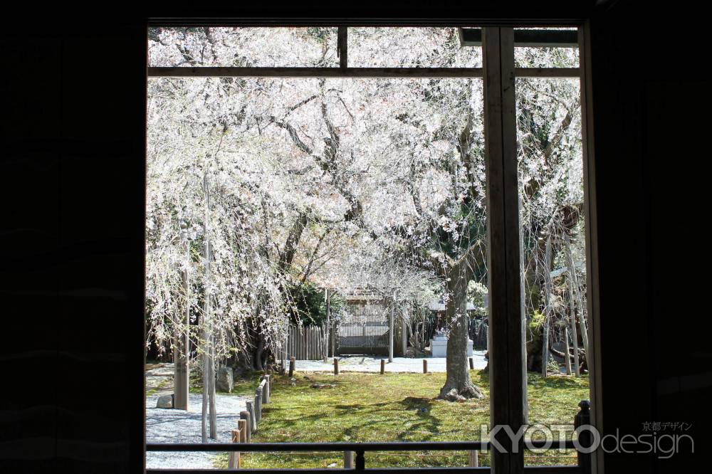 常照皇寺2013⑤