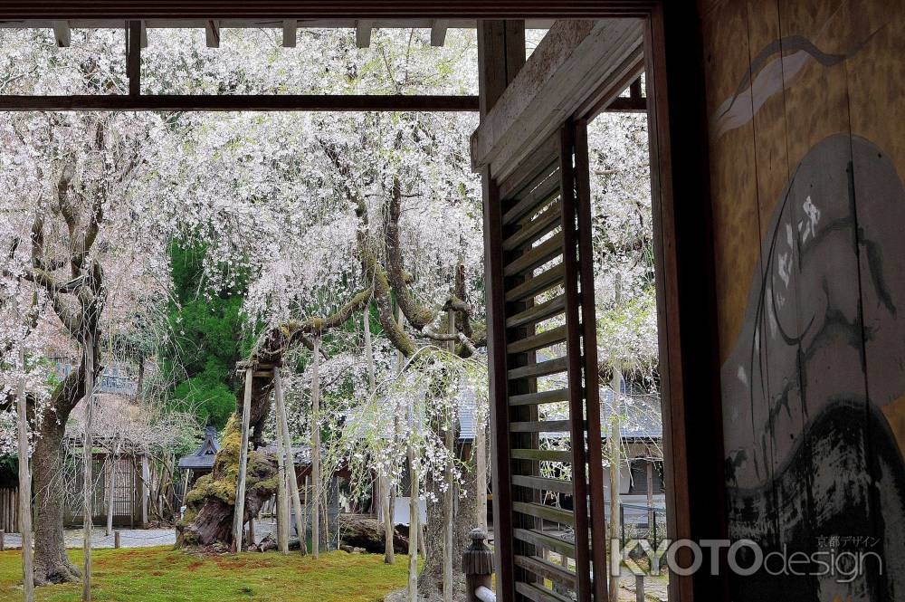 常照皇寺2015春②