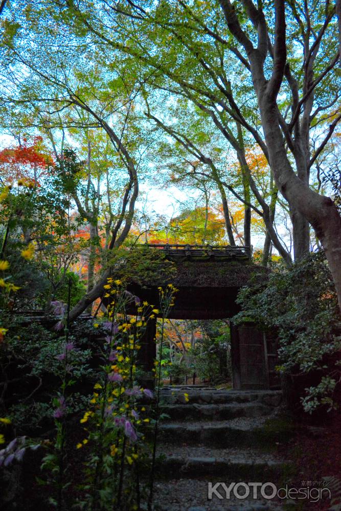 祇王寺秋2015②