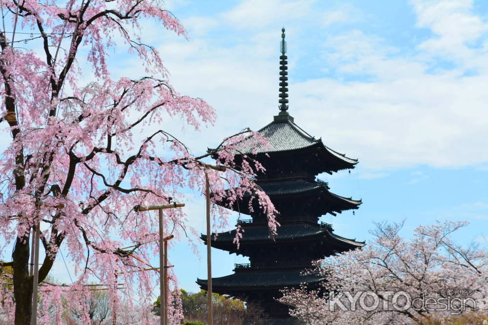 東寺春2016④