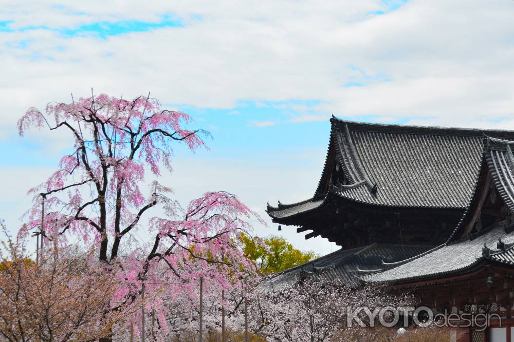 東寺春2016⑥