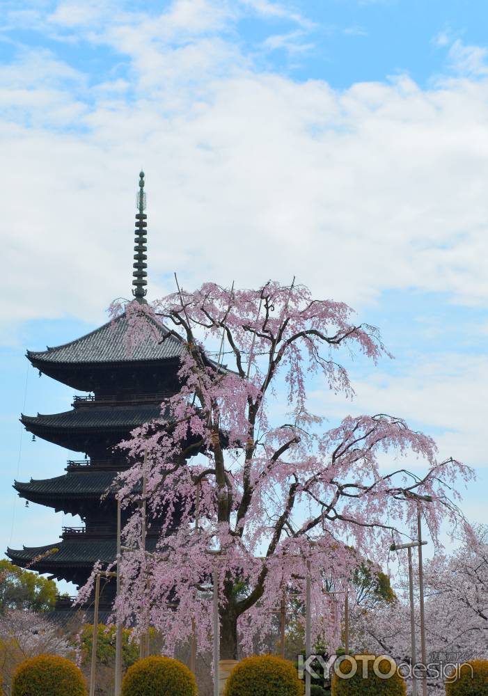 東寺春2016⑧