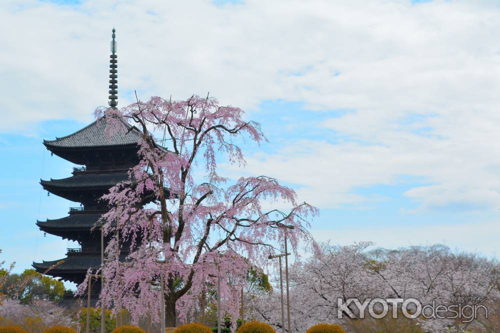 東寺春2016⑨