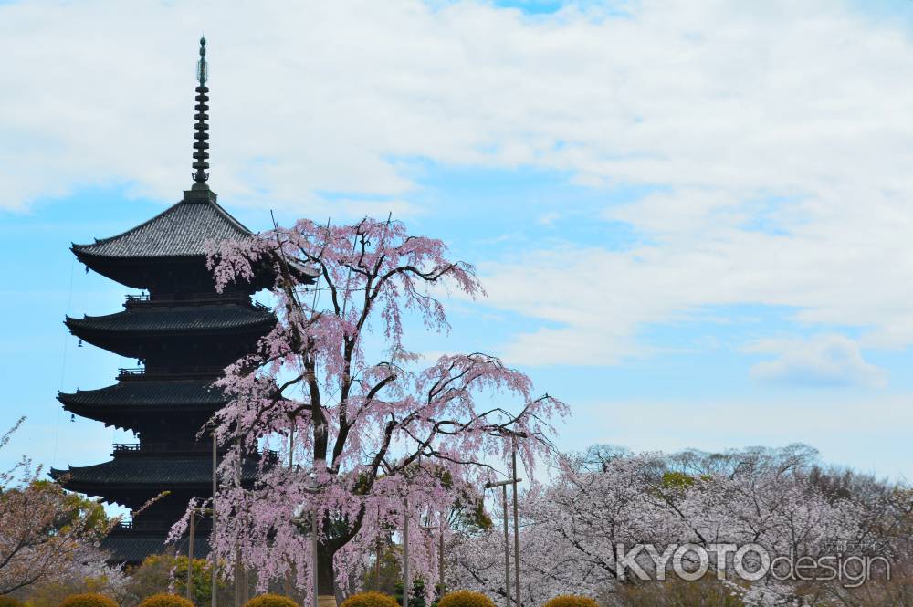 東寺春2016⑩