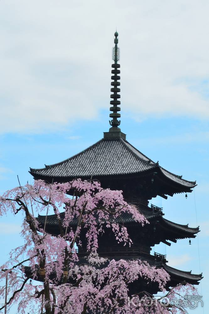 東寺春2016⑪