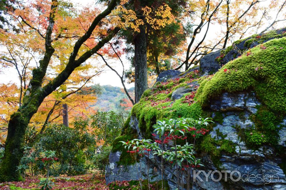 宝厳院秋2016③