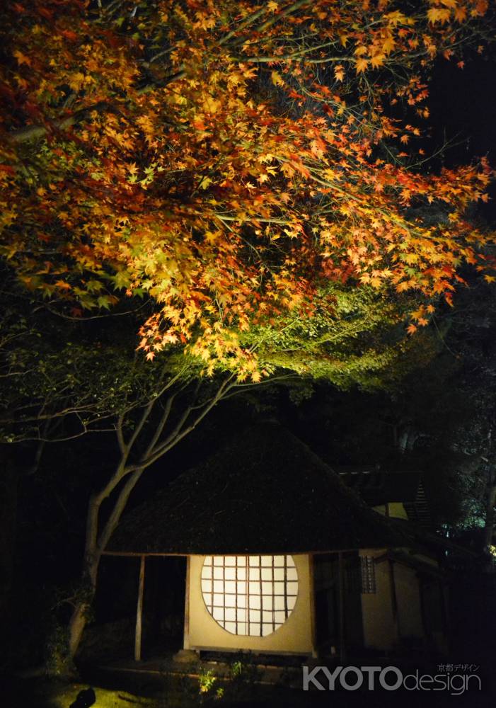 高台寺2016秋①