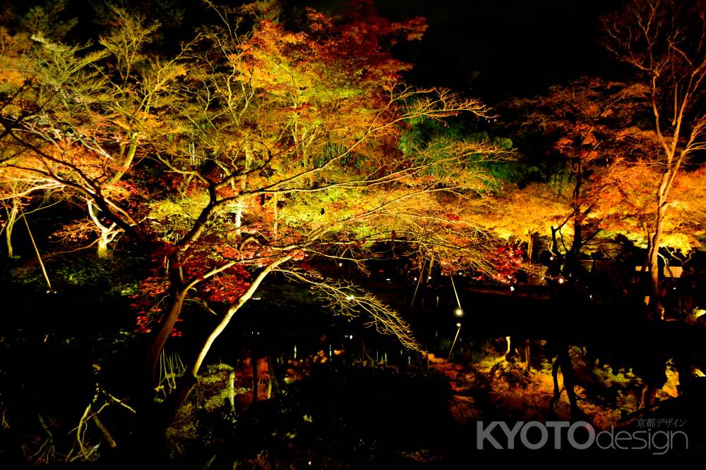 高台寺2016秋⑦