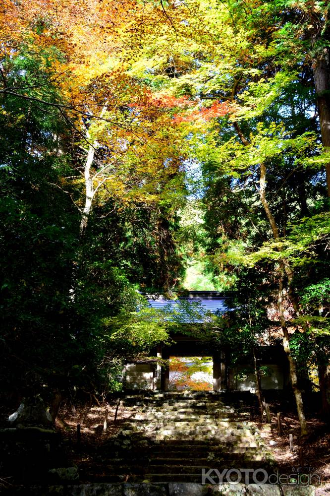 常照皇寺2016秋①