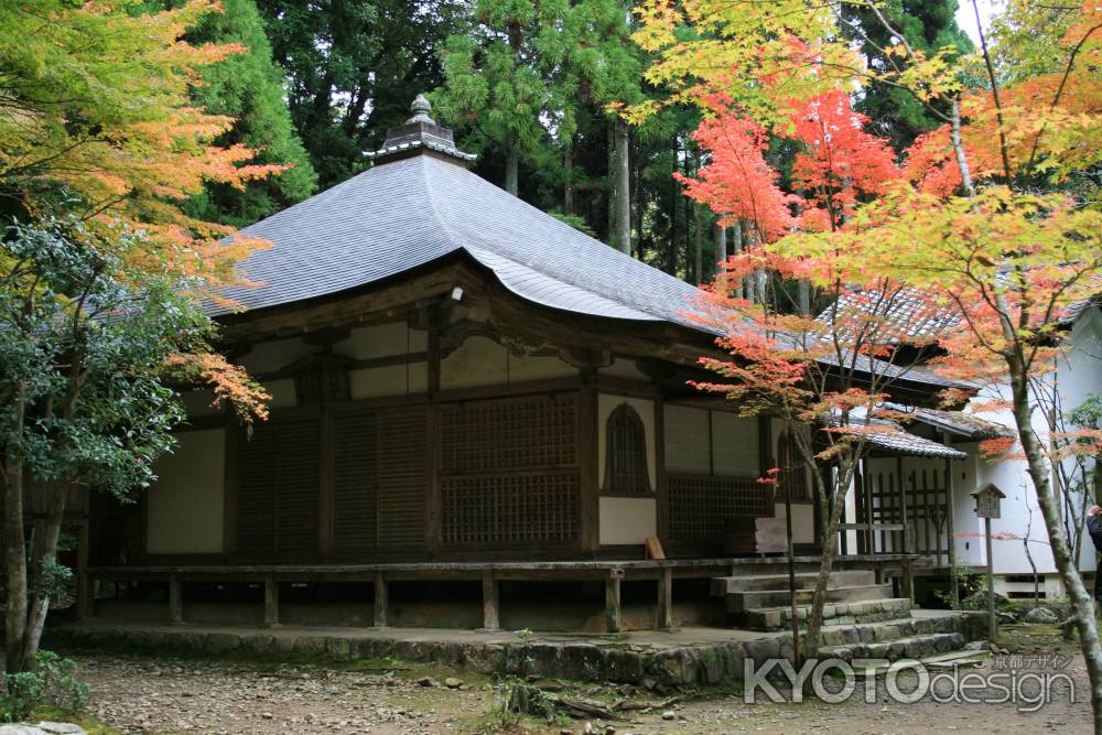 高山寺の紅葉