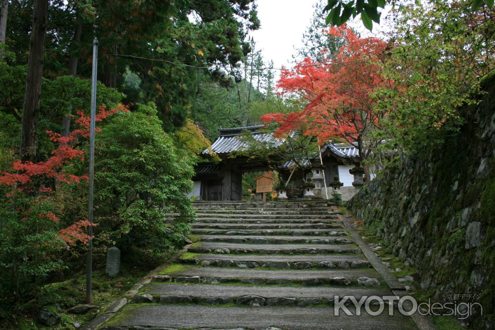 石段と紅葉