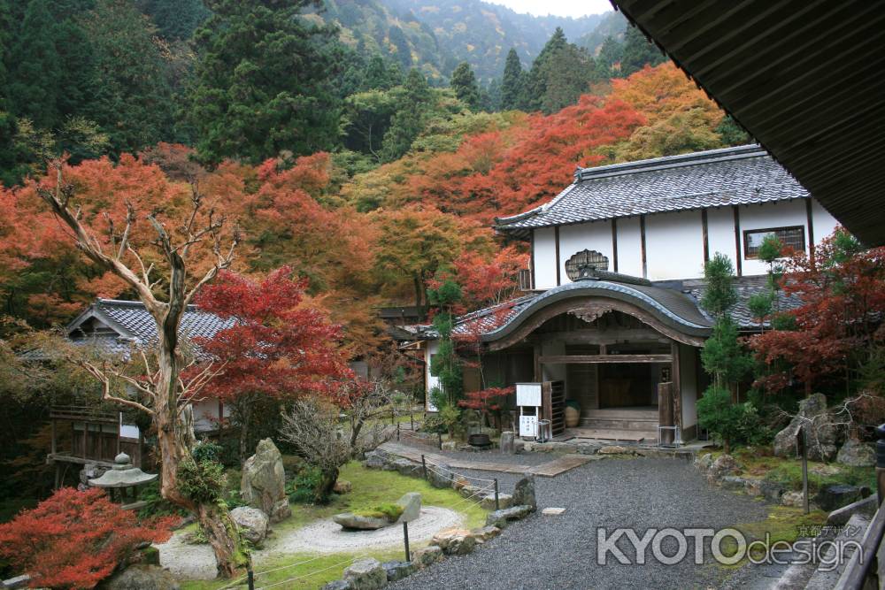 秋の古知谷阿弥陀寺