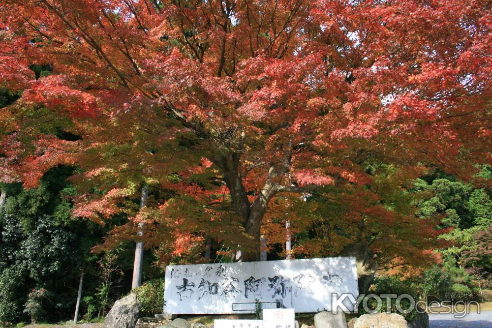 古知谷阿弥陀寺