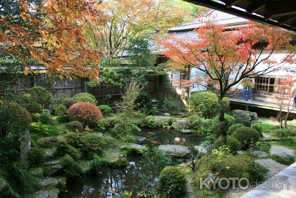 宝泉院　秋の鶴亀庭園