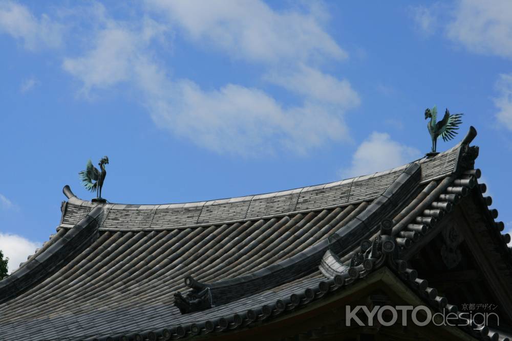 大空に舞う鳳凰