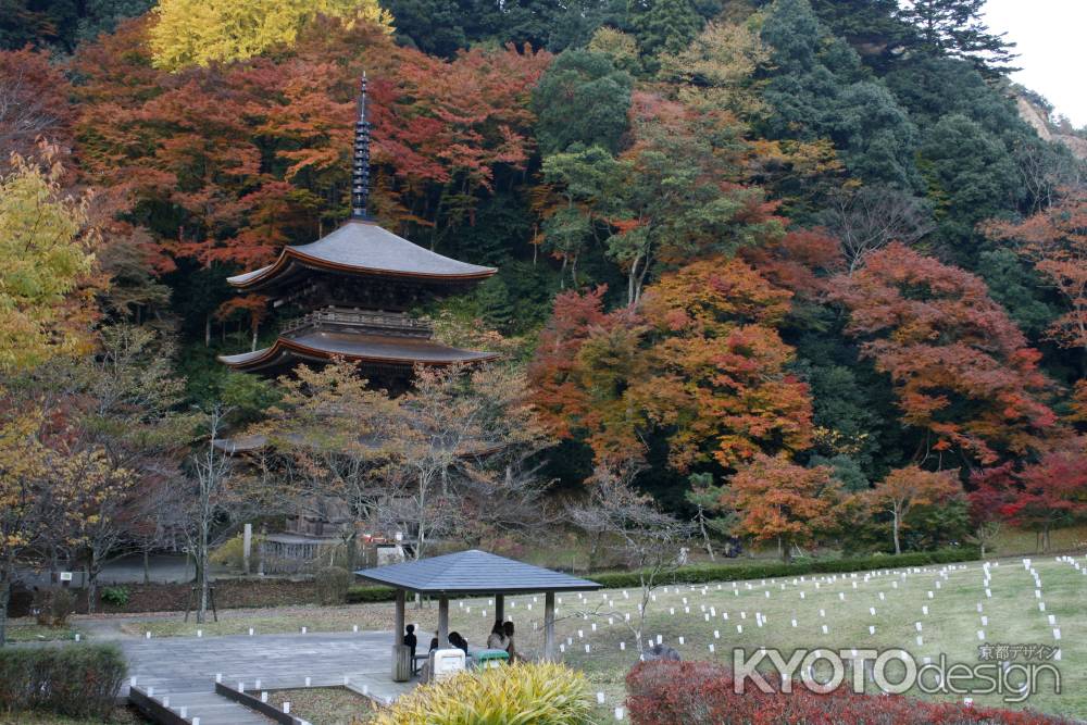 秋の金剛院