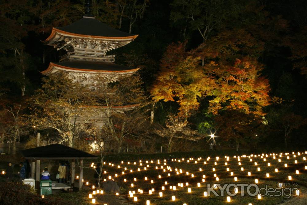 夜の金剛院　ライトアップ