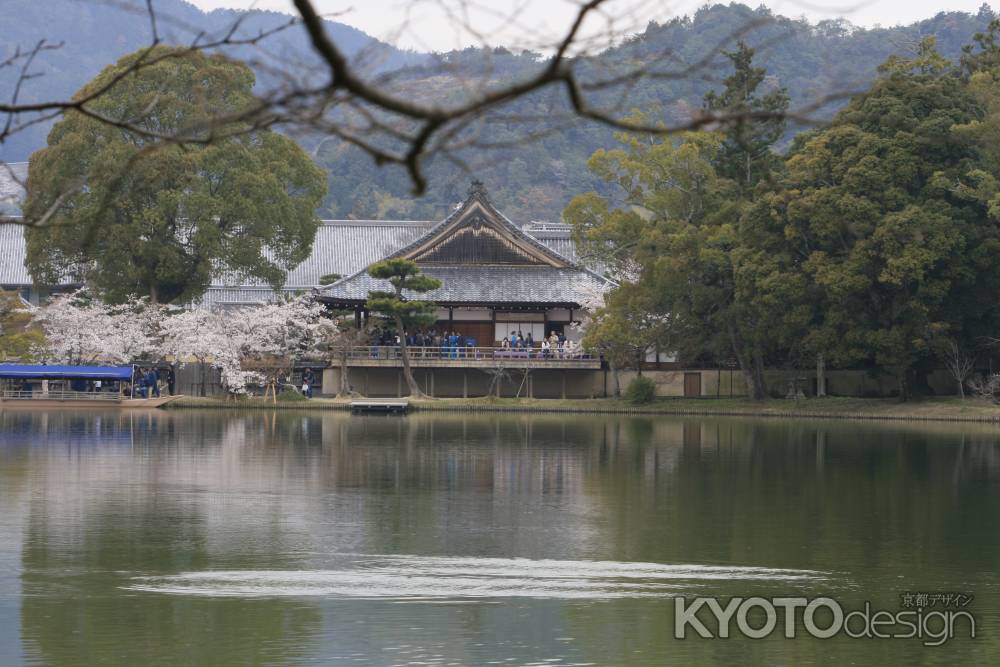 大覚寺　大沢池からみる本堂