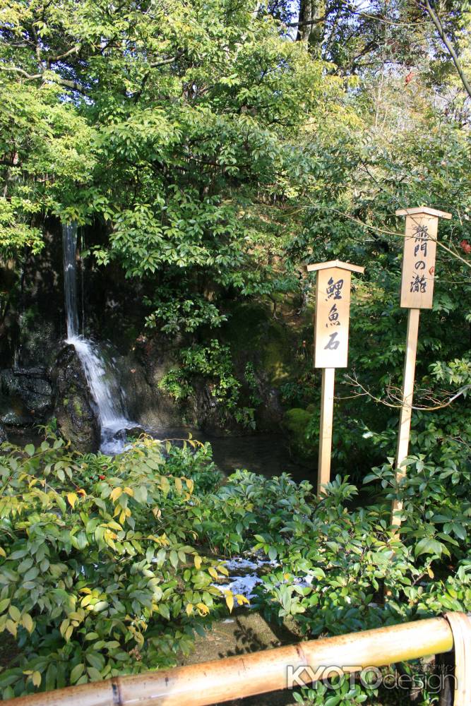 金閣寺　龍門の滝