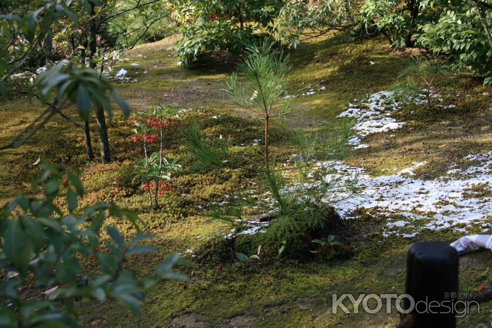 雪の残る金閣寺