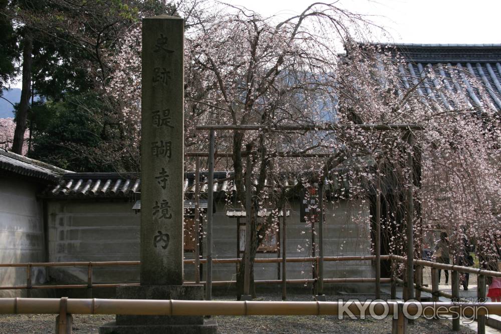 醍醐寺の枝垂れ桜