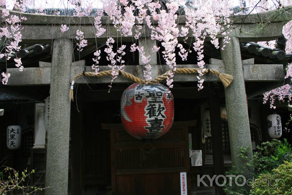 雨宝院の桜