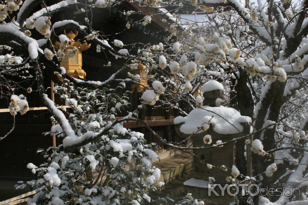 雪と北野天満宮