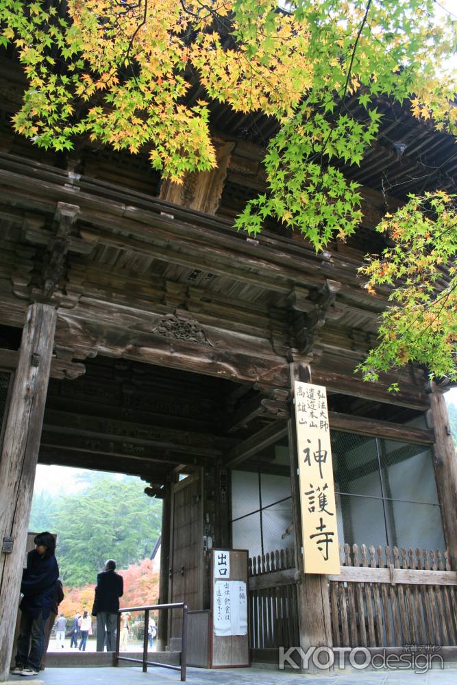 神護寺の山門