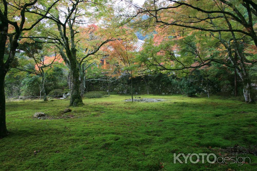 豊かな緑と控えめな紅葉