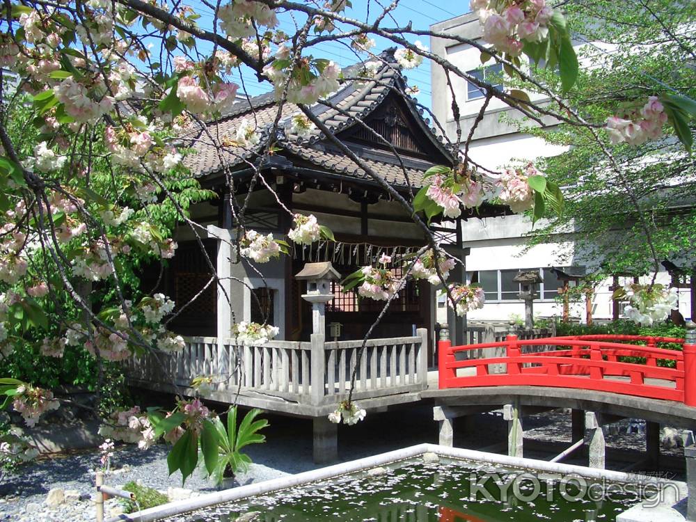 春の六孫王神社