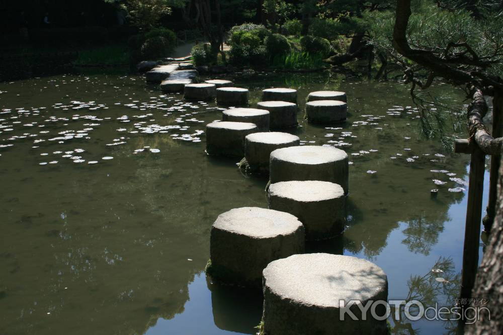 池の飛び石