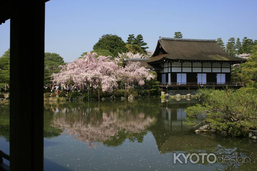 池と枝垂桜