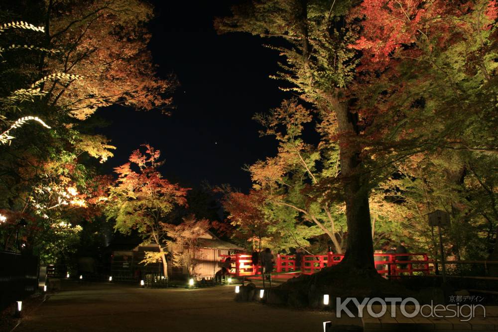 北野天満宮　夜の紅葉