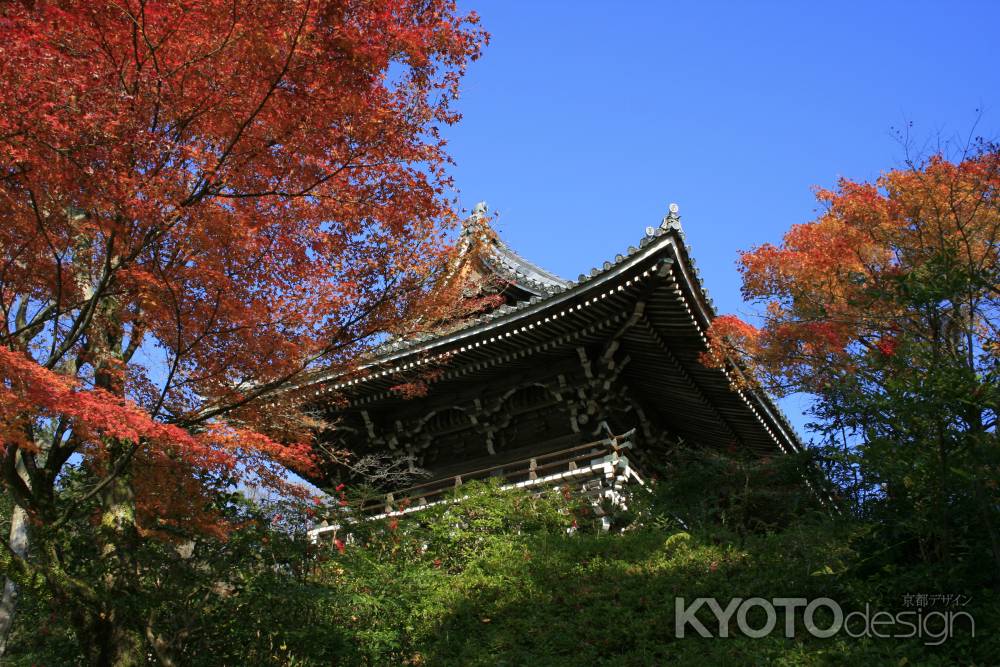 紅葉と青空