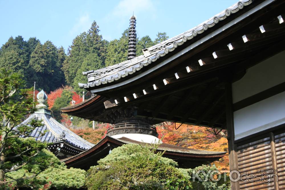 秋晴れと善峰寺