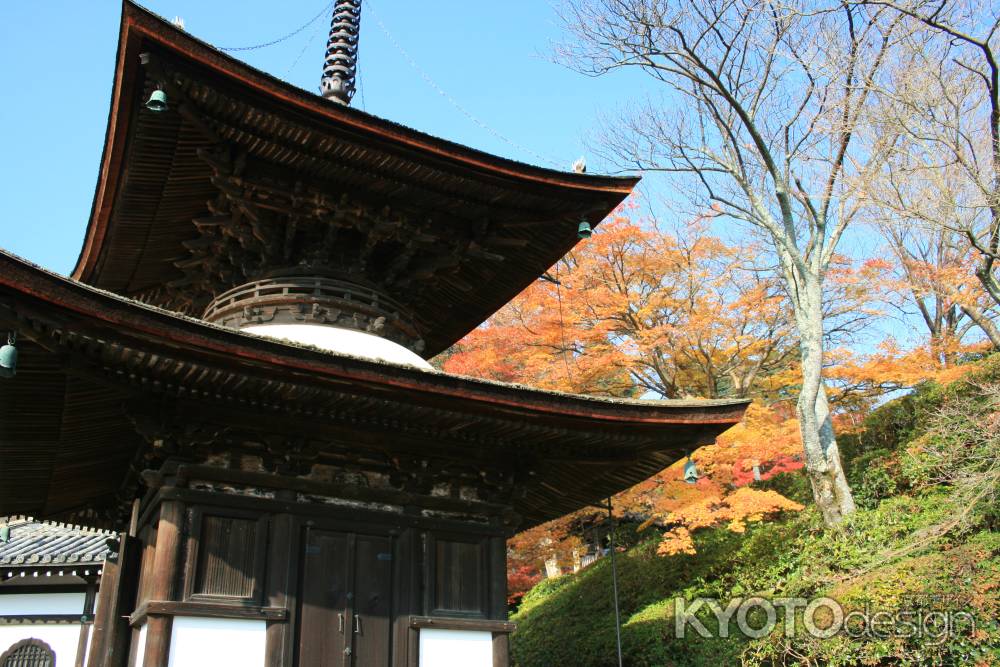 秋晴れと善峰寺