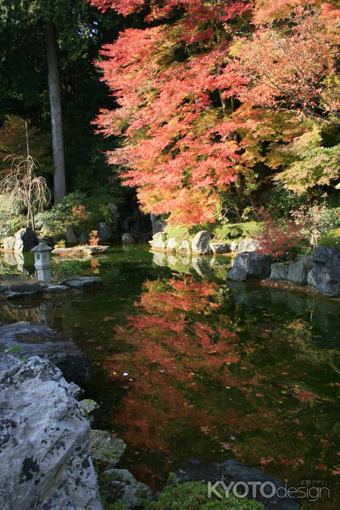 池に映る紅葉