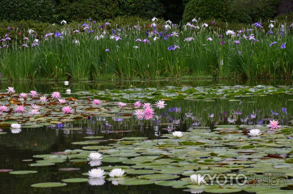 西の園