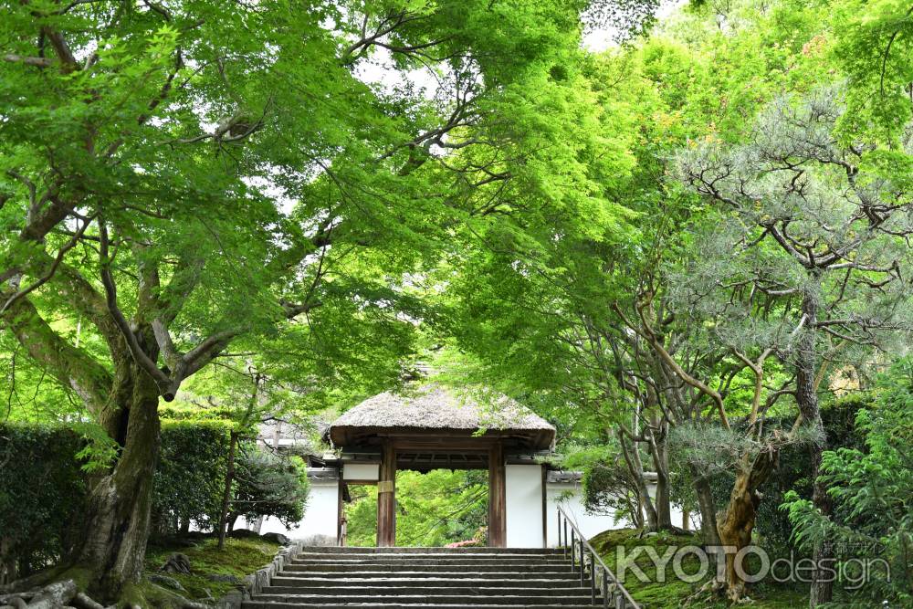 青紅葉の山門